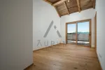 Top 23